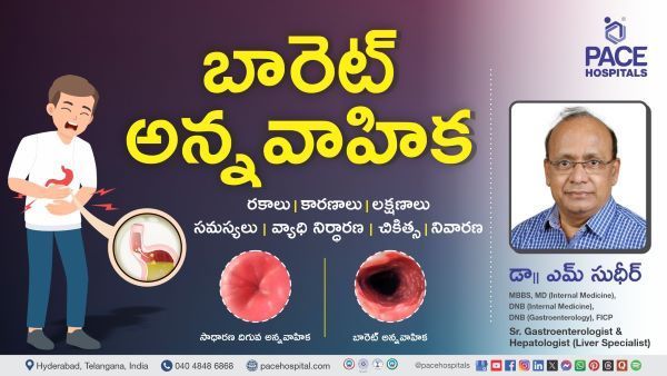 Barrett's Esophagus Symptoms & Treatment Explained in Telugu by Dr M Sudhir from PACE Hospitals