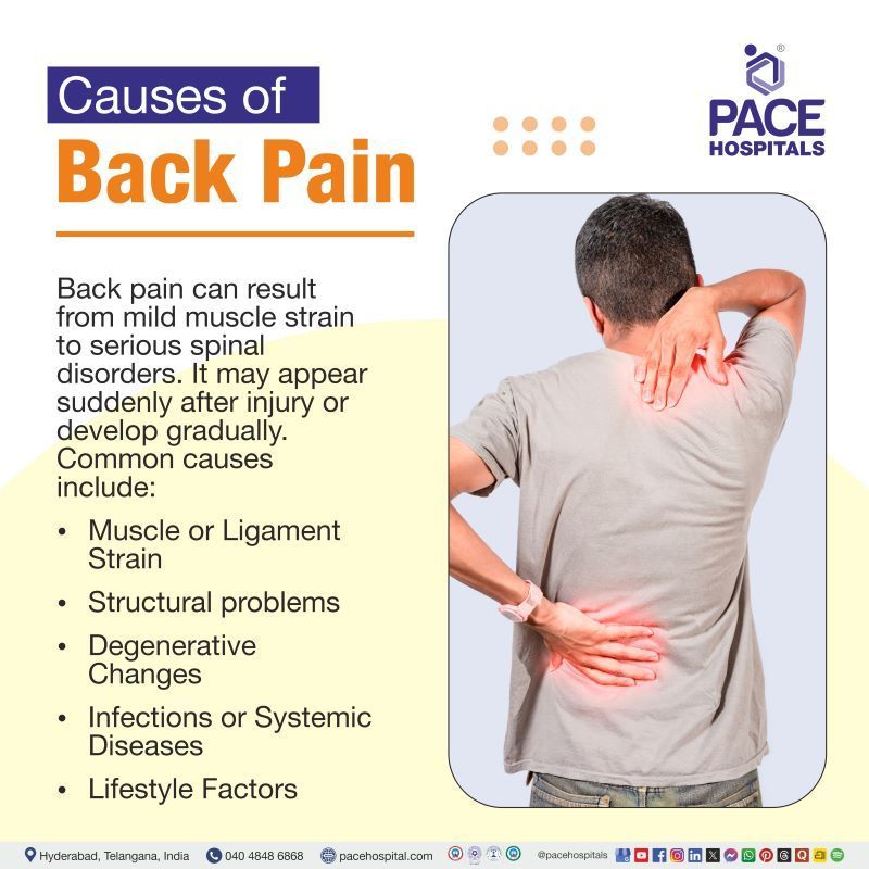 Back Pain Causes Back Pain Causes | Causes of Back Pain