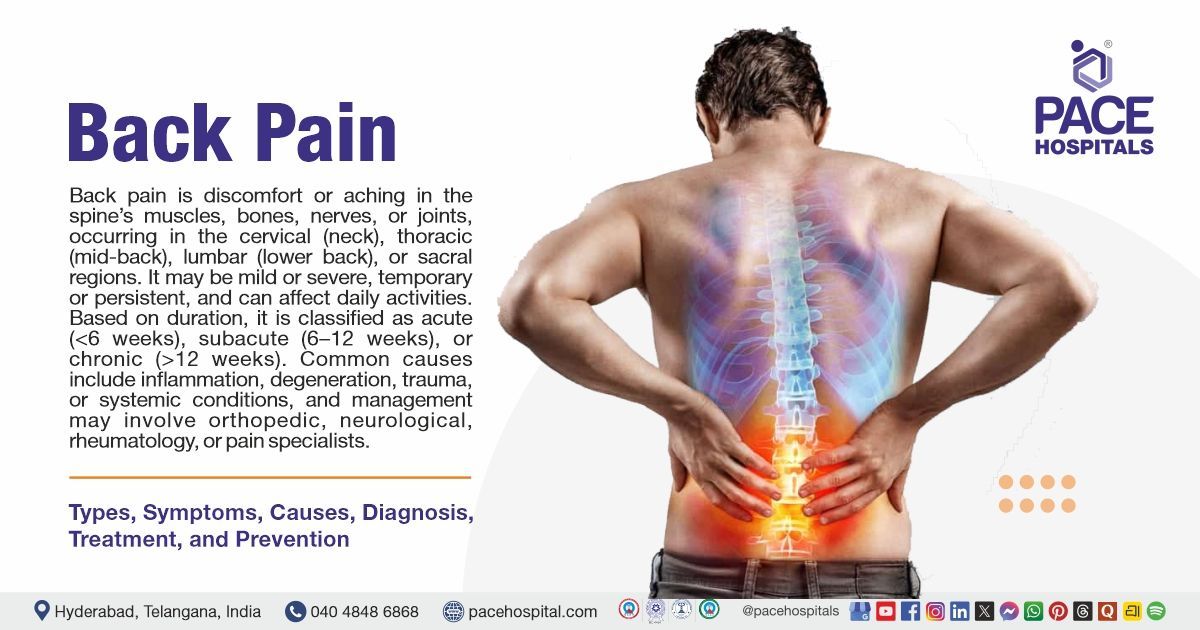 Back Pain Causes, Symptoms, Types, Diagnosis, Treatment & Prevention | What is Back Pain