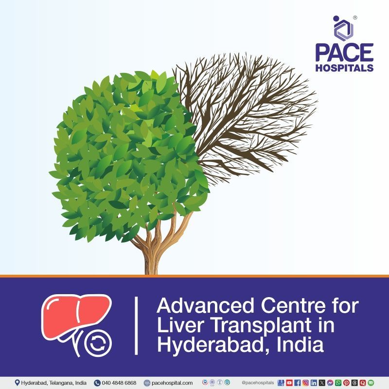 Best liver transplant hospital in Hyderabad | top 10 liver transplant hospitals in India