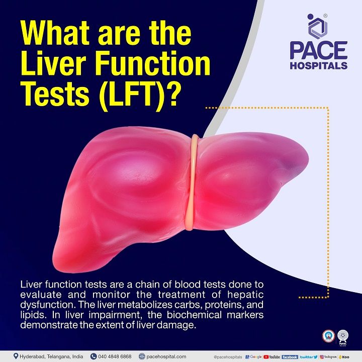 best liver function test cost in Hyderabad, Telangana | blood test for liver function in India | lft panel