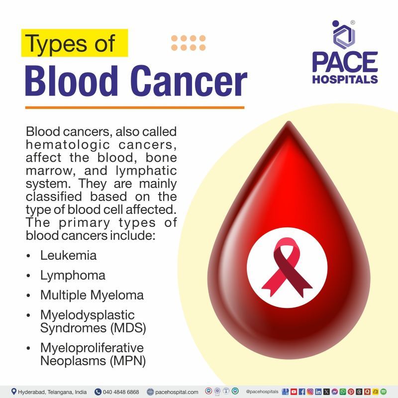 Blood Cancer Types Blood Cancer Types | Types of blood cancer | Blood cancer types list | How many types of blood cancer
