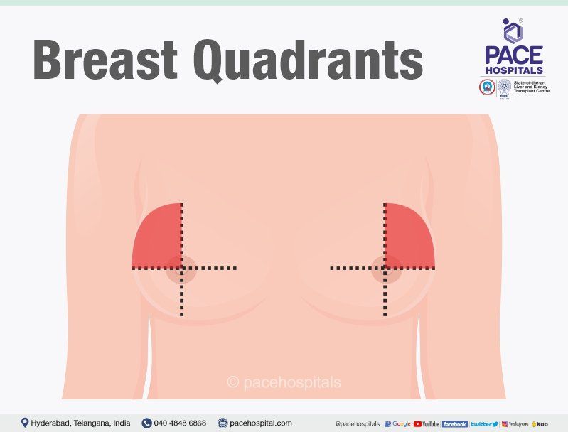 breast cancer self examination images | breasts quadrants | objective of breast self examination | need of breast self examination