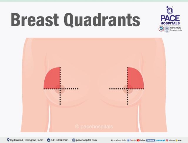Check Yourself Properly: How To Do a Self Breast Examination