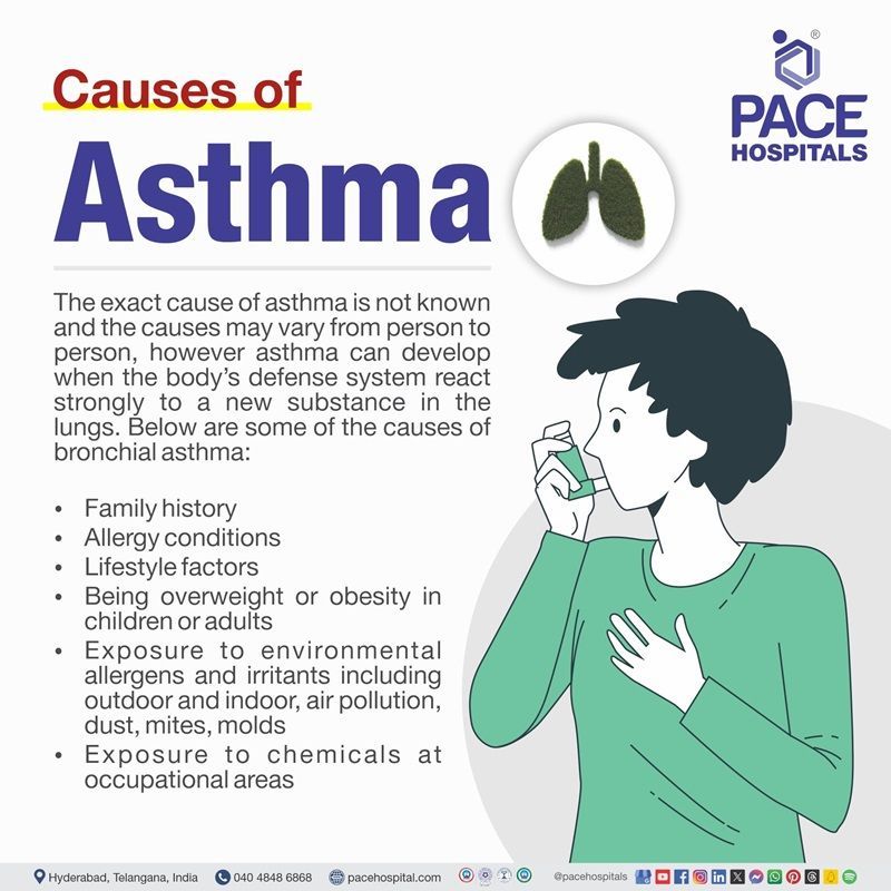 causes of bronchial asthma​ | asthma is caused by​ | how is asthma caused | asthma is caused due to​ | Visual depicting the causes of asthma