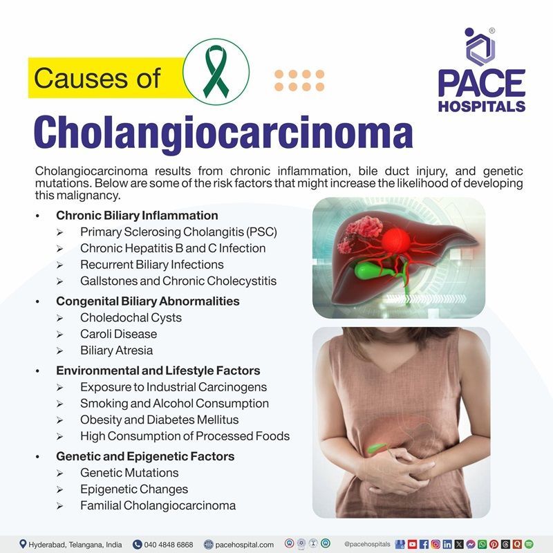 cholangiocarcinoma causes​ | bile duct cancer causes​ | Visual depicting the causes of bile duct cancer