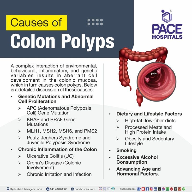 Colon polyps causes | Visual depicting the causes of colon polyps