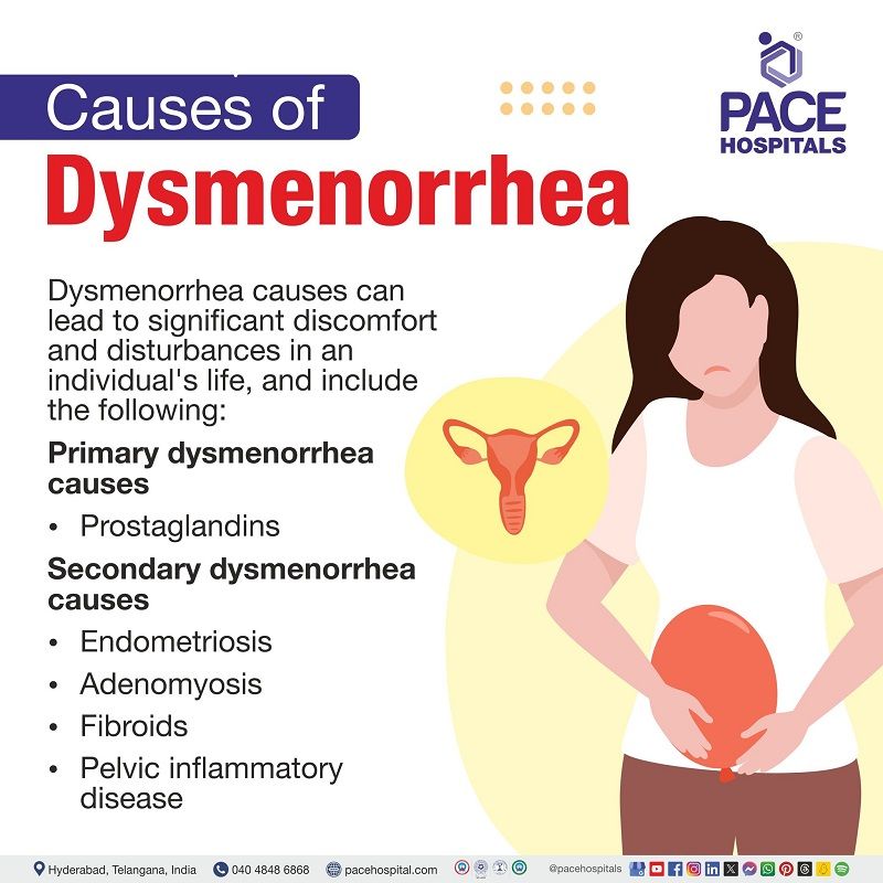 primary dysmenorrhea causes | secondary dysmenorrhea causes | what causes dysmenorrhea | Visual revealing the causes of primary and Secondary dysmenorrhea
