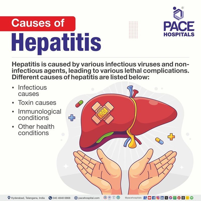 Hepatitis causes | CauseA of Hepatitis | Hepatitis a causes by  | What causes hepatitis | Visual depicting the causes of hepatitis