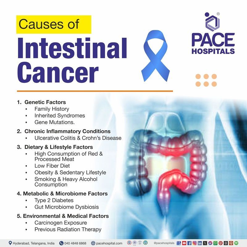 Intestinal Cancer Causes | Image showing the various causes of intestinal cancer