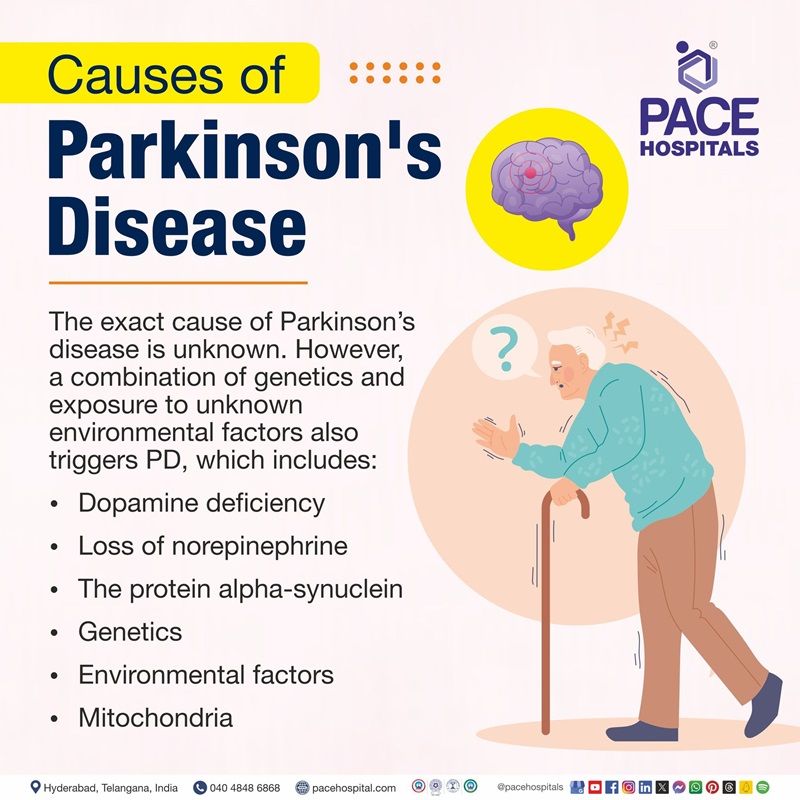 Parkinson's disease causes | Parkinson's causes | what causes Parkinson's disease | Visual showing the causes of Parkinson's disease
