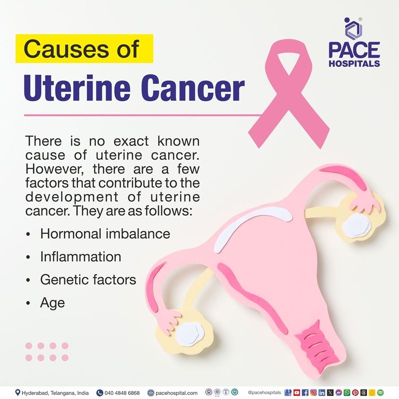 what causes uterine cancer | ​what can cause uterine cancer​ | uterine cancer causes | causes of uterine cancer​