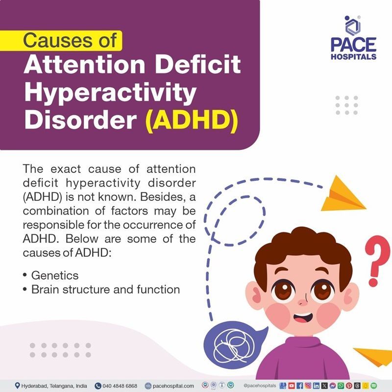 what causes ADHD | ADHD causes | causes of ADHD in adults | causes of ADHD in children | causes of attention deficit hyperactivity disorder | Visual depicting the causes of ADHD