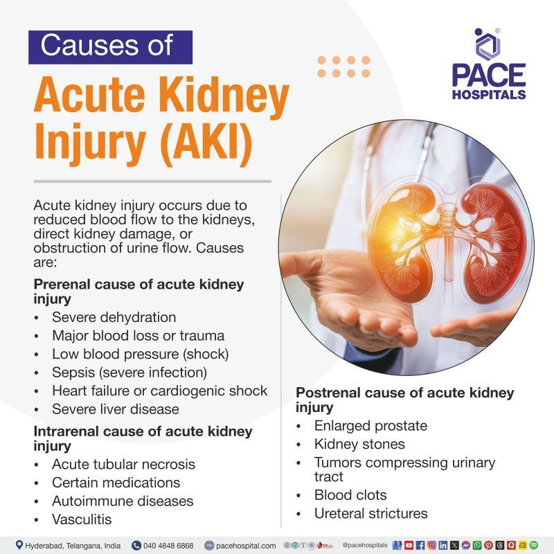 Causes of acute kidney injury | auses of AKI | Common causes of acute kidney injury