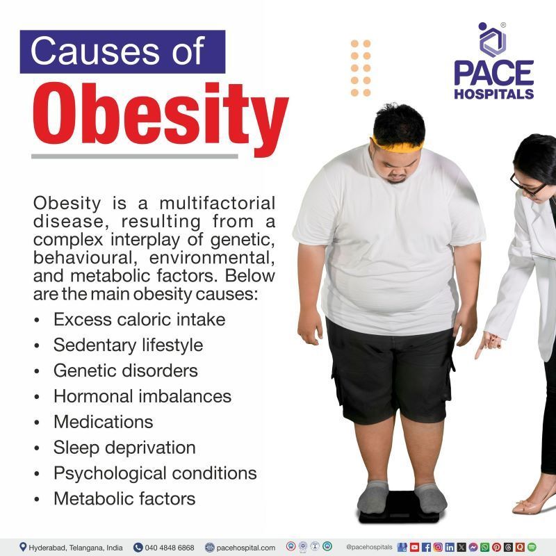 Causes of Obesity Causes of Obesity | Obesity causes | What causes obesity