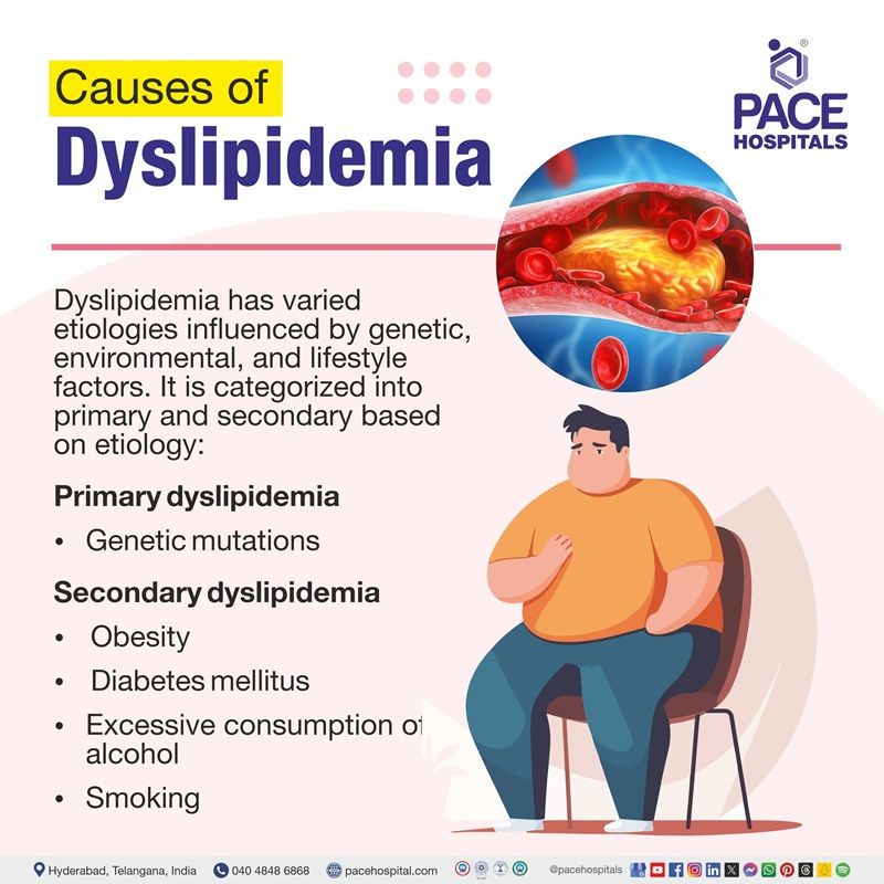 dyslipidemia causes​ | what is the cause of dyslipidemia​ | secondary causes of dyslipidemia​ | diabetic dyslipidemia causes and consequences​ | Visual illustrating the causes of dyslipidemia