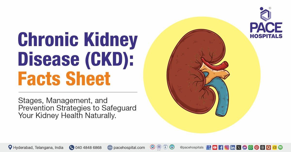 Chronic Kidney Disease Facts explained – Recognizing Signs, Understand Stages,  Risks & treatments