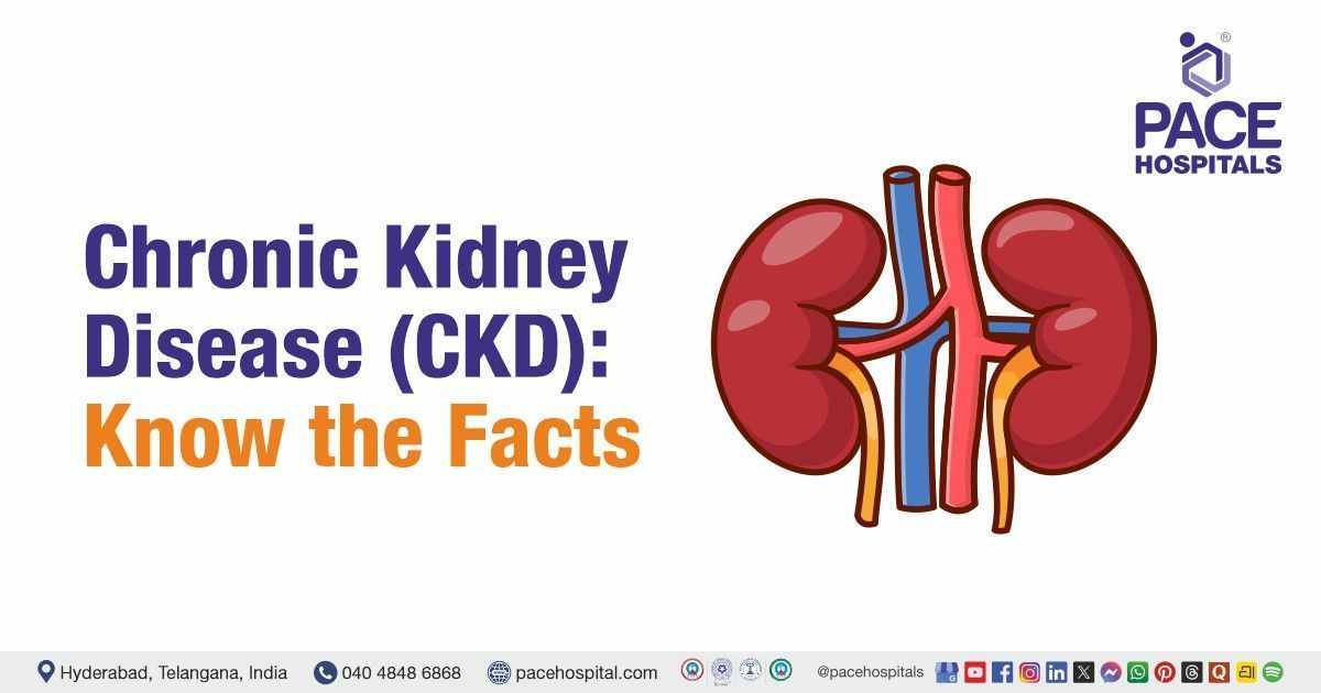 Chronic Kidney Disease (CKD) Facts: Causes, Symptoms & Prevention Explained