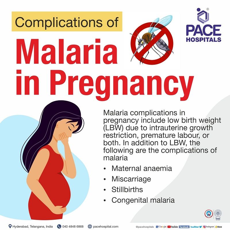 complications of malaria disease in pregnancy | severe complicated malaria in pregnancy | pregnancy complications in malaria