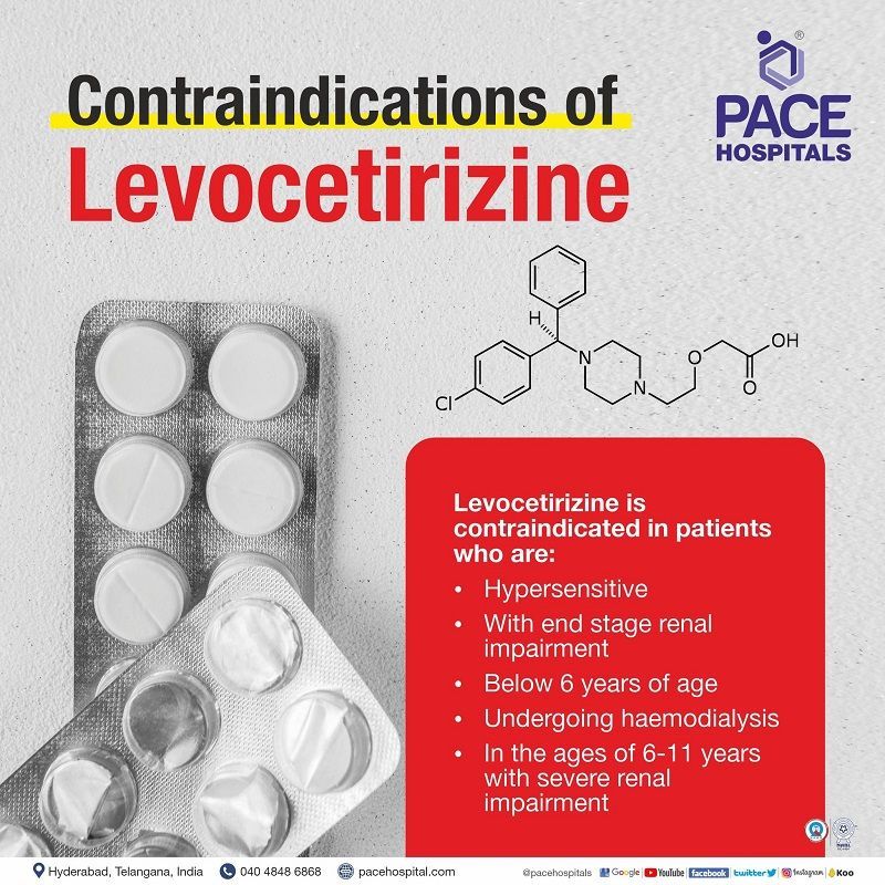levocetirizine contraindications | contraindications of levocetirizine | contraindications for levocetirizine montelukast