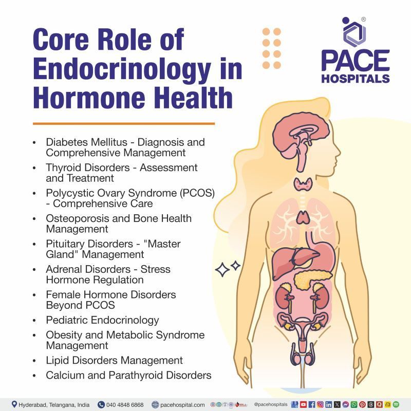 Core Roles of Endocrinology in Hormone Health Core Roles of Endocrinology in Hormone Health | Endocrinology in India