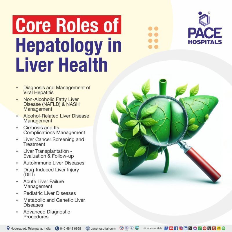 Core Roles of Hepatology in Liver Health | Hepatology in India | Hepatology and Liver Health