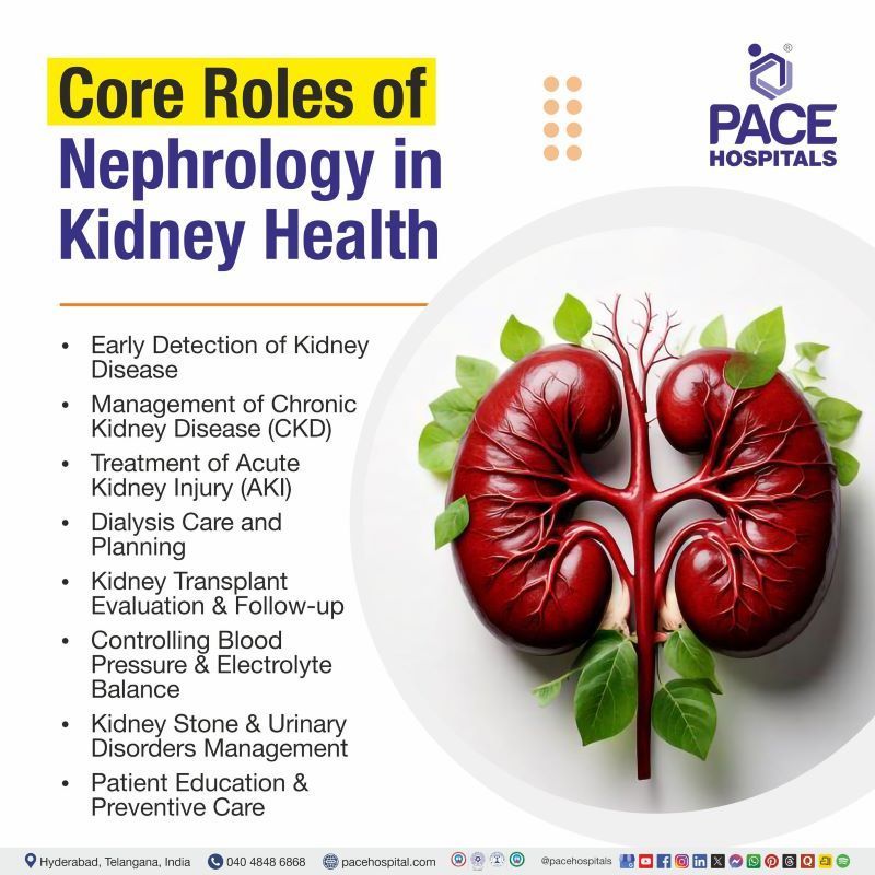 Core Roles of Nephrology in Kidney Health | Nephrology in India | Nephrology and Kidney Health