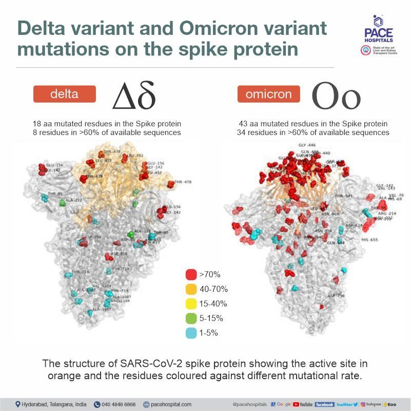 Covid delta variant  vs omicron variant