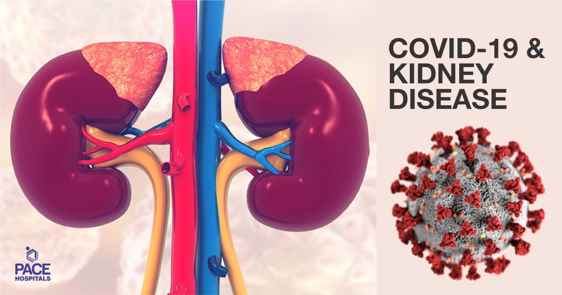 Covid-19 and Kidney Disease: Important Update for Kidney Patients