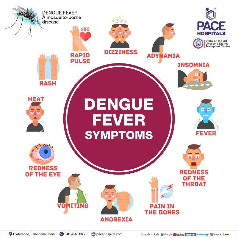 dengue fever symptoms - 7 warning signs of dengue fever