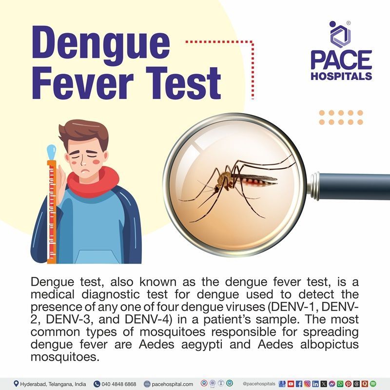 dengue test price in Hyderabad | dengue test cost in Hyderabad | dengue fever test cost in Hyderabad | dengue ns1 test cost in hyderabad