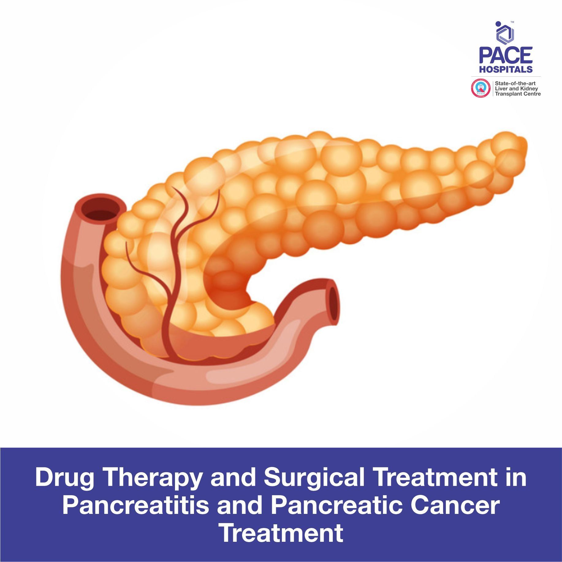 Drug Therapy and Surgical Treatment in Pancreatitis and Pancreatic Cancer Treatment
