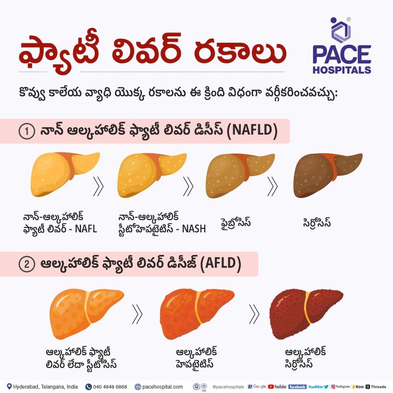 fatty liver types in telugu | fatty liver disease in telugu | fatty liver means in telugu | effects of fatty liver in telugu
