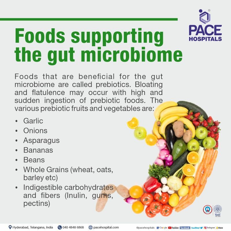 Foods supporting the gut microbiome - World Digestive Health Day | World Gut Health Day WDHD 2023
