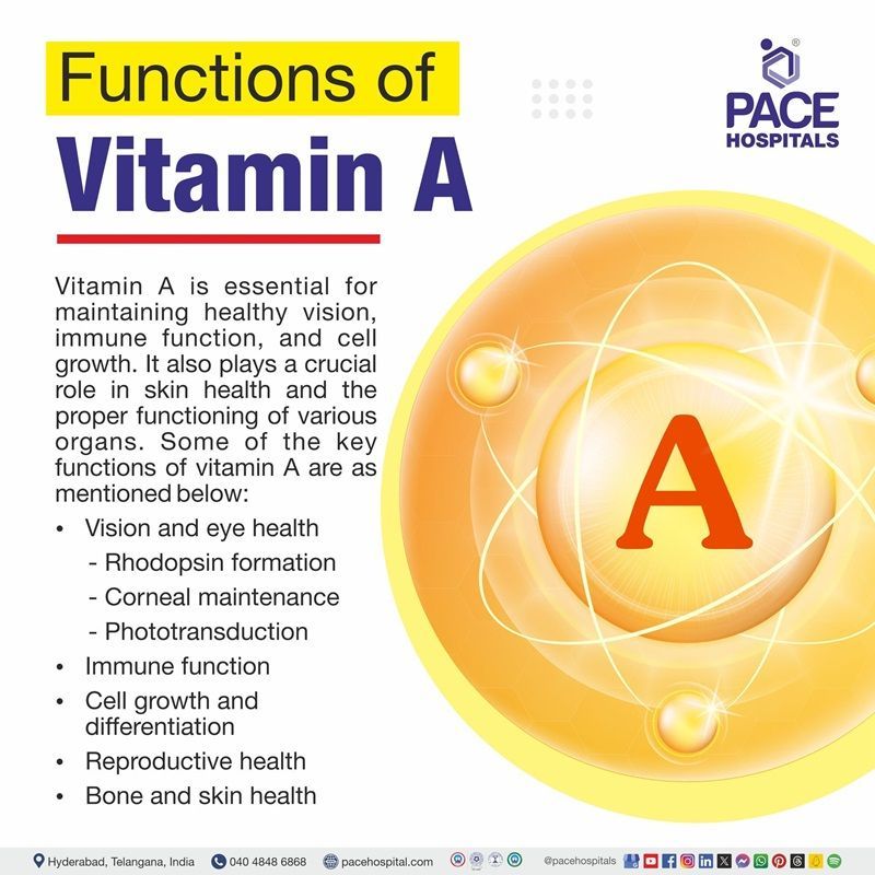 5 functions of vitamin a​ | vitamin a functions | vitamin a function​ | what functions do vitamin a serve