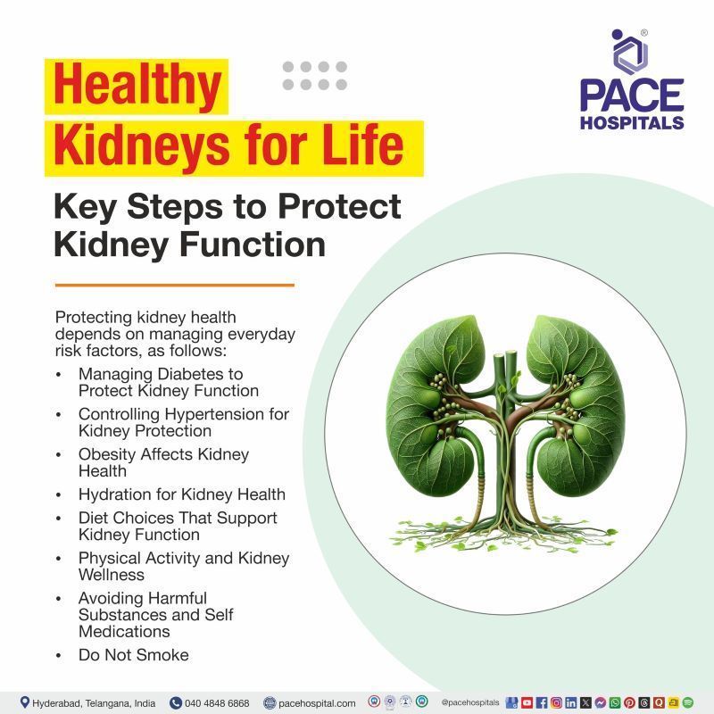 Steps to Protect Kidney Function | Kidney health tips | Ways to keep your kidneys healthy