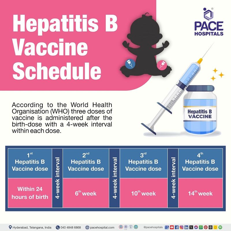 Hepatitis B Vaccine Centre in Hyderabad Schedule appointment