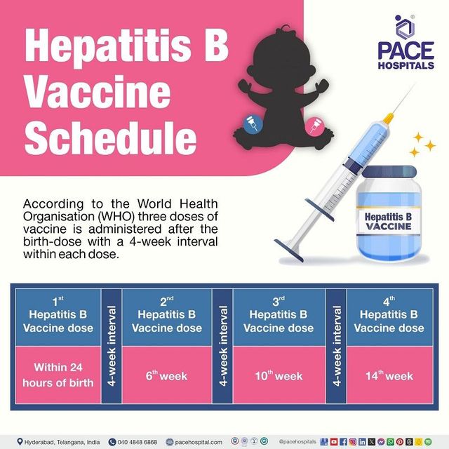 Hepatitis B Vaccine Dose hepatitis-b-vaccine-dose