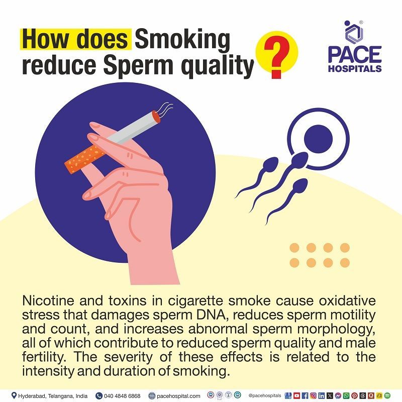 Smoking affecting sperm quality