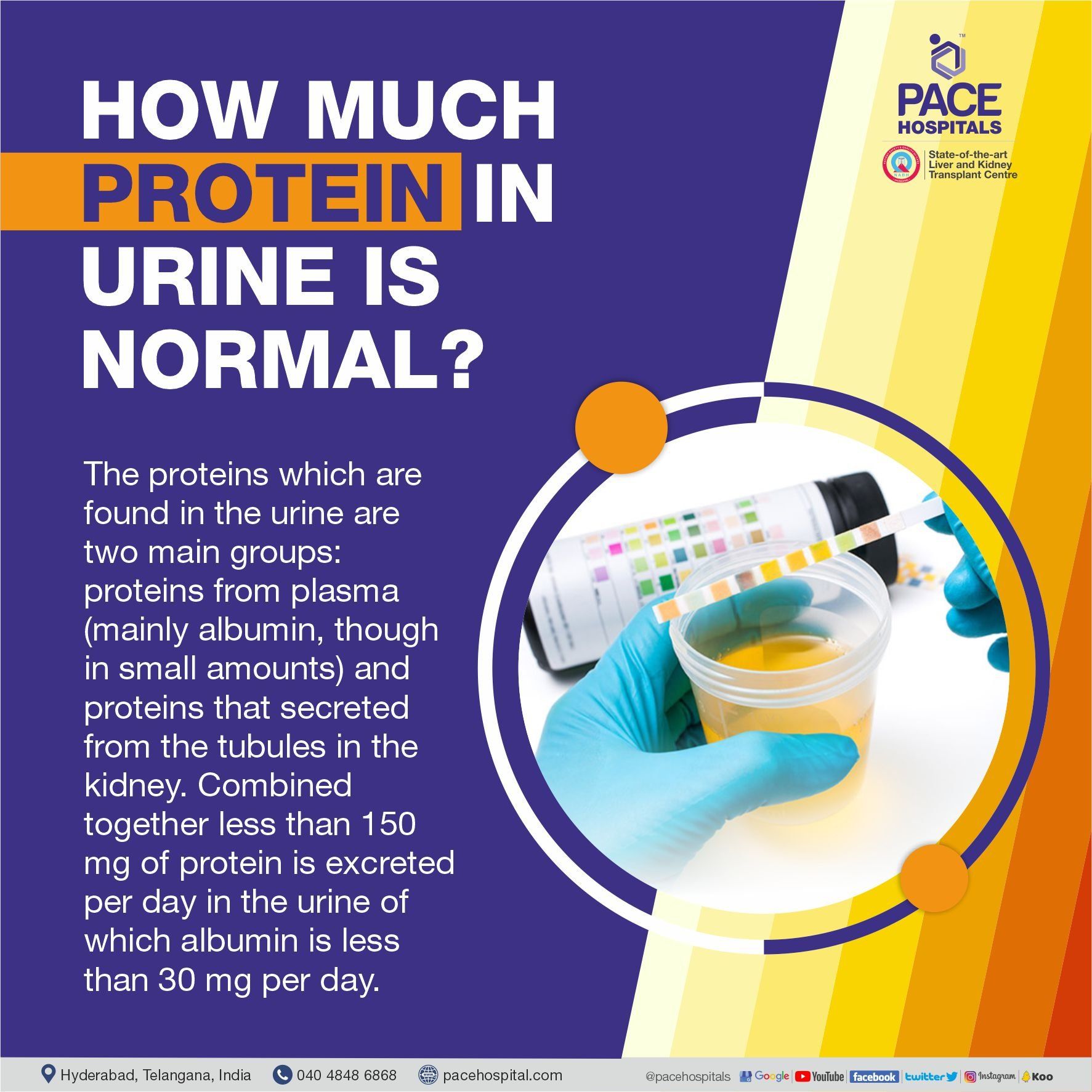 How much protein in urine is normal | normal protein ranges in urine