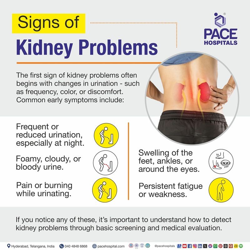how to know kidney problem | how to identify kidney problems | what are the signs of kidney problems
