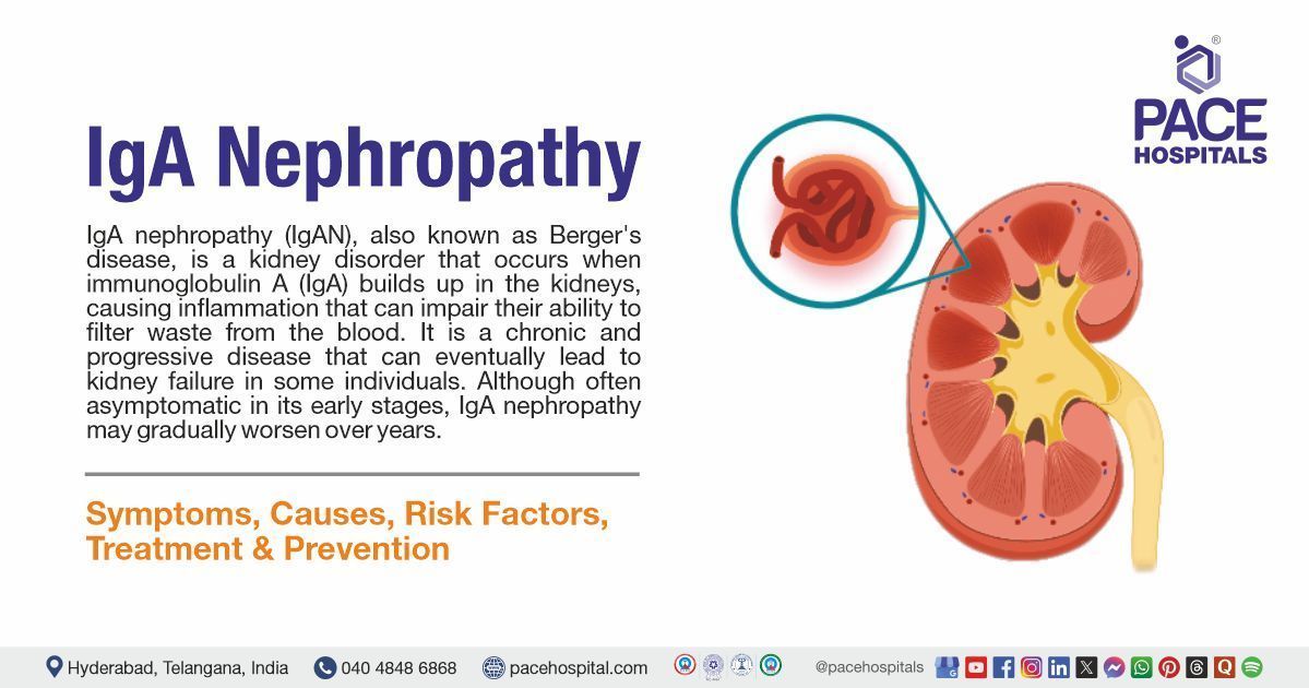 IgA Nephropathy Symptoms & Causes | IgA Nephropathy Treatment in India | What is IgA Nephropathy