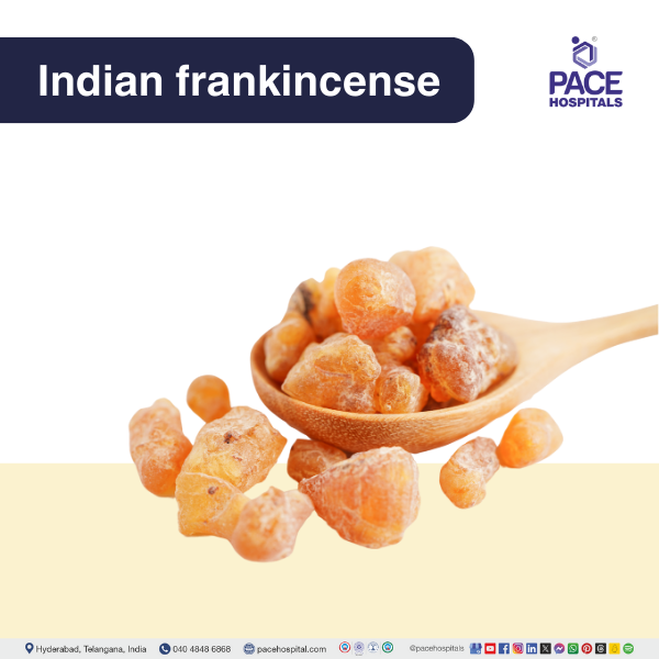 Indian frankincense - Boswellia Serrata Indian frankincense - home remedies for intestinal infection
