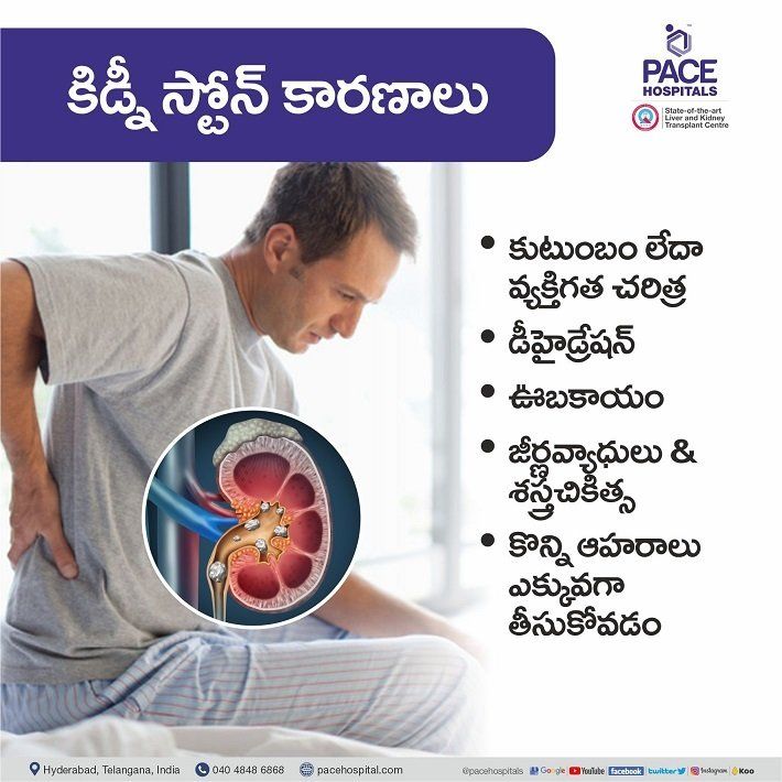 Kidney Stones cause in telugu