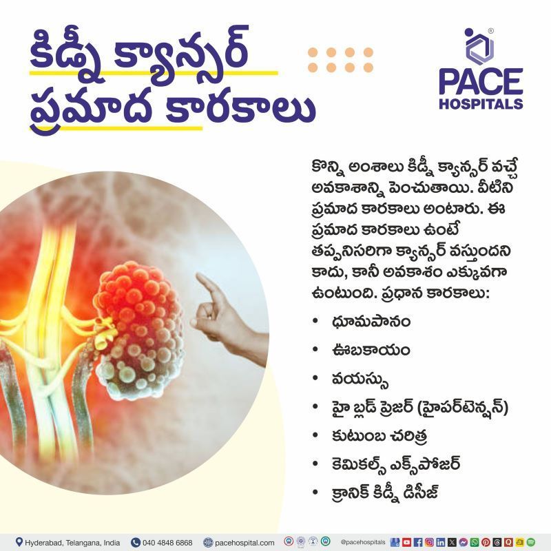 Kidney Cancer Risk Factors in Telugu | కిడ్నీ క్యాన్సర్ ప్రమాద కారకాలు | Risk Factors of Kidney Cancer in Telugu
