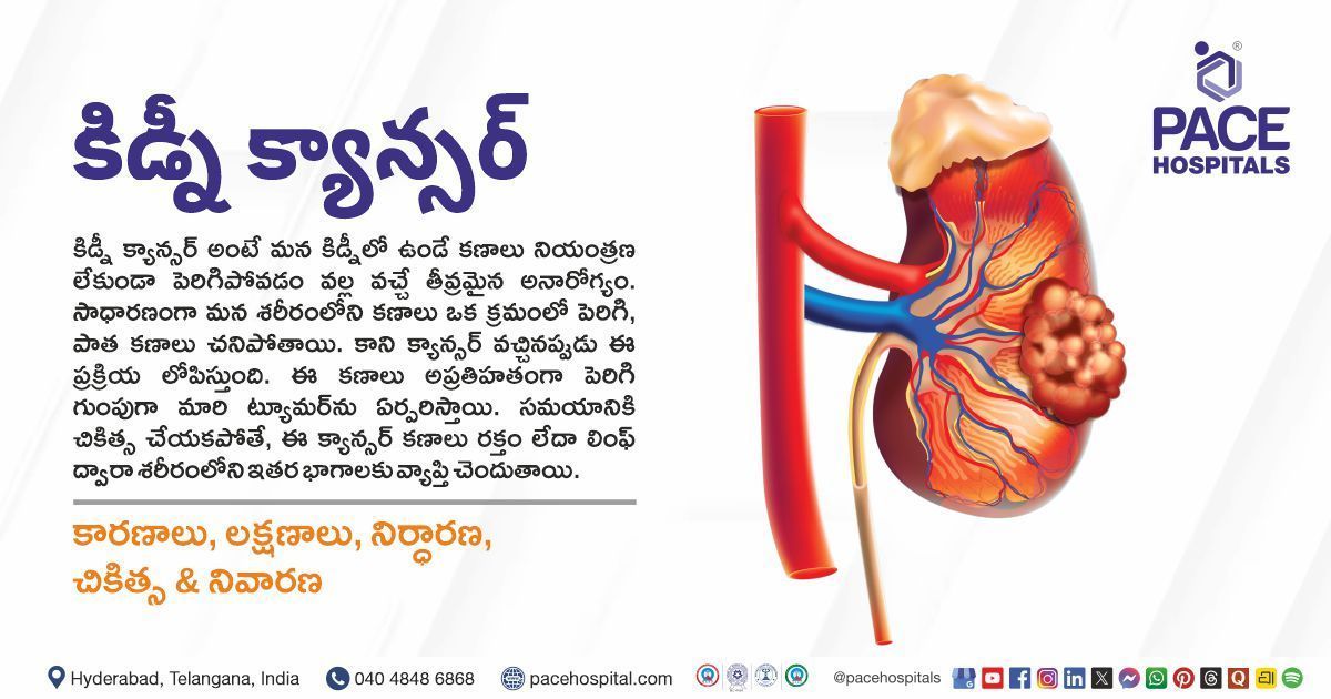 Kidney Cancer Symptoms, Causes, Types, Treatment & Prevention in Telugu | Kidney Cancer in Telugu