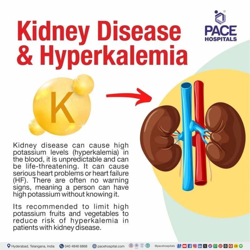 high potassium kidney disease | potassium level for kidney disease | chronic kidney disease and potassium | potassium restriction in kidney disease