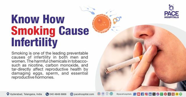 what happens if you smoke one cigarette a day Here's What Happens When You Quit Smoking what happens if you smoke one cigarette a day Here's What Happens When You Quit Smoking