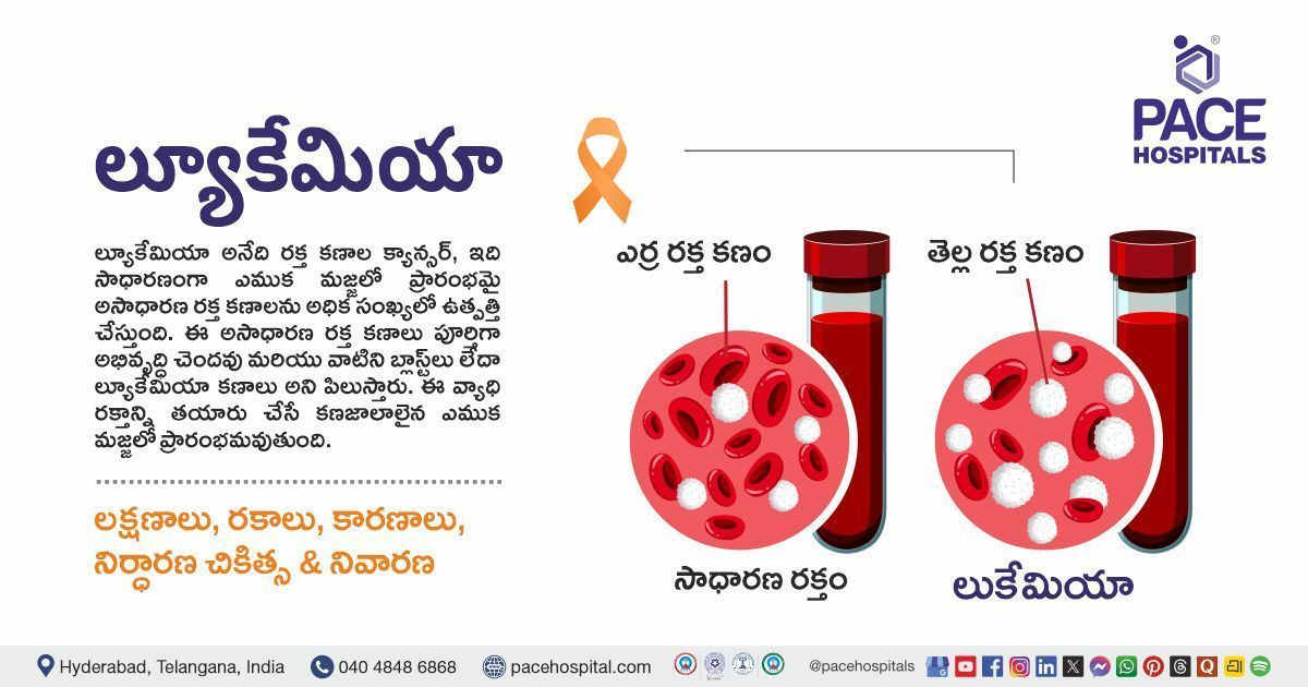 Leukemia Symptoms, Causes, Types, Diagnosis & Treatment in Telugu | Leukemia in Telugu