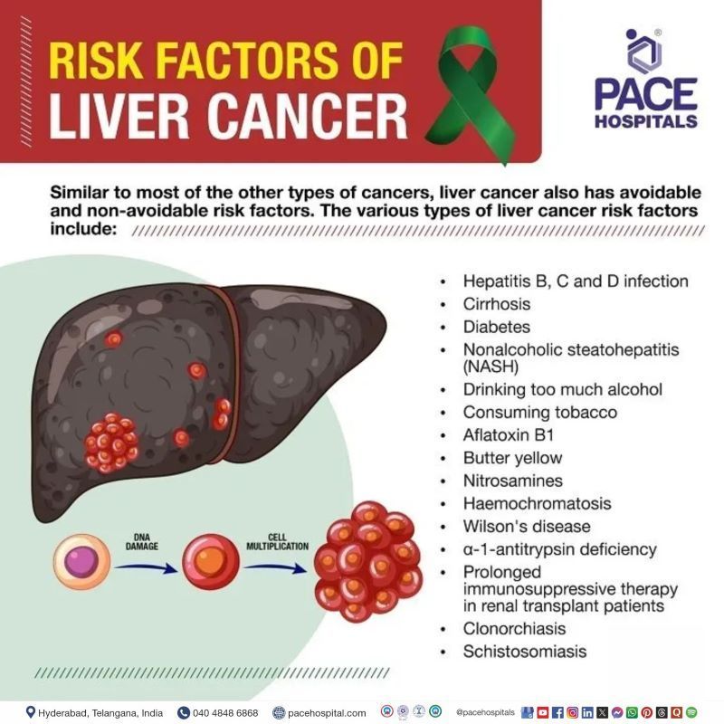 Liver Cancer risk factors | Risk factors of Liver Cancer